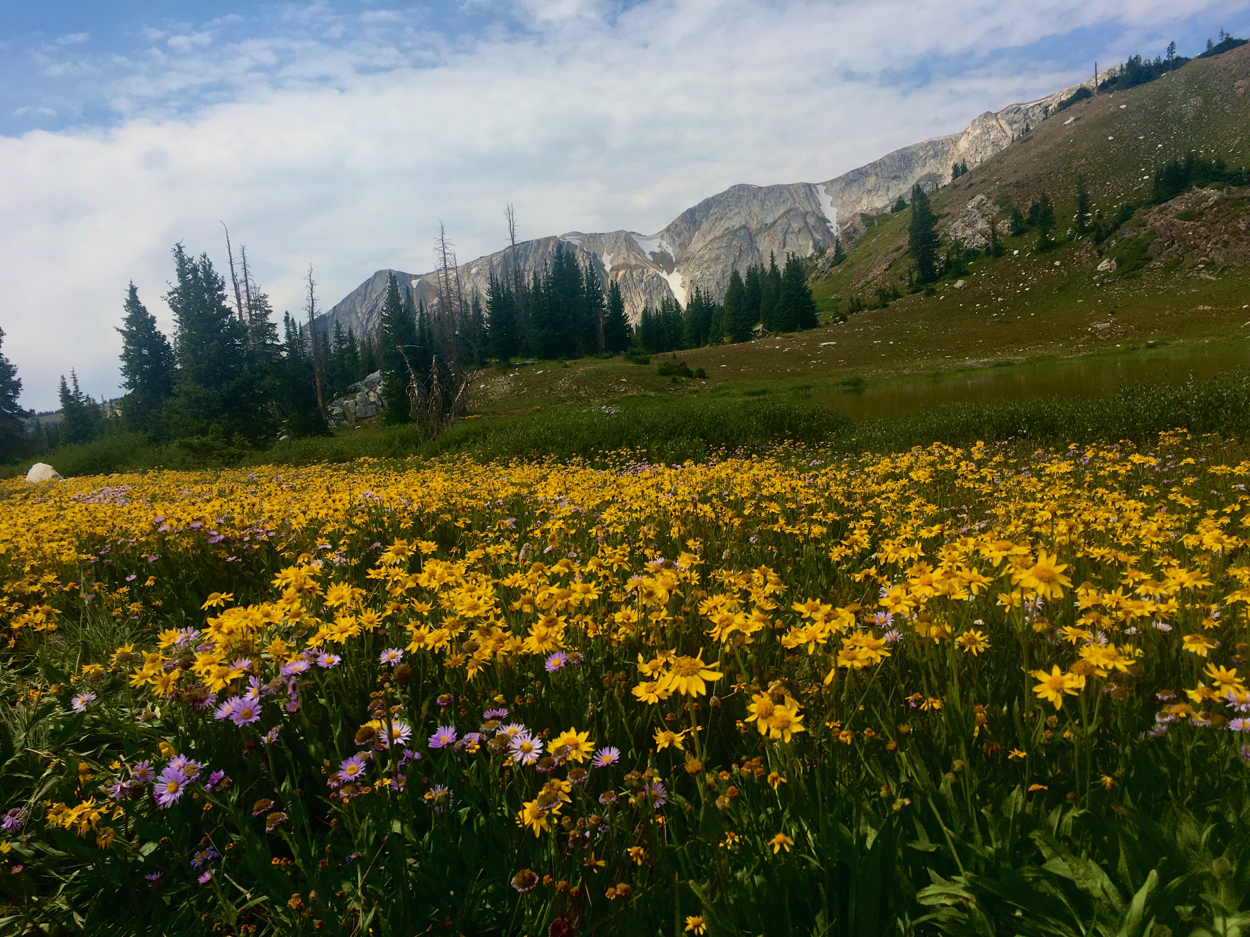  Snowy Range Mountains 