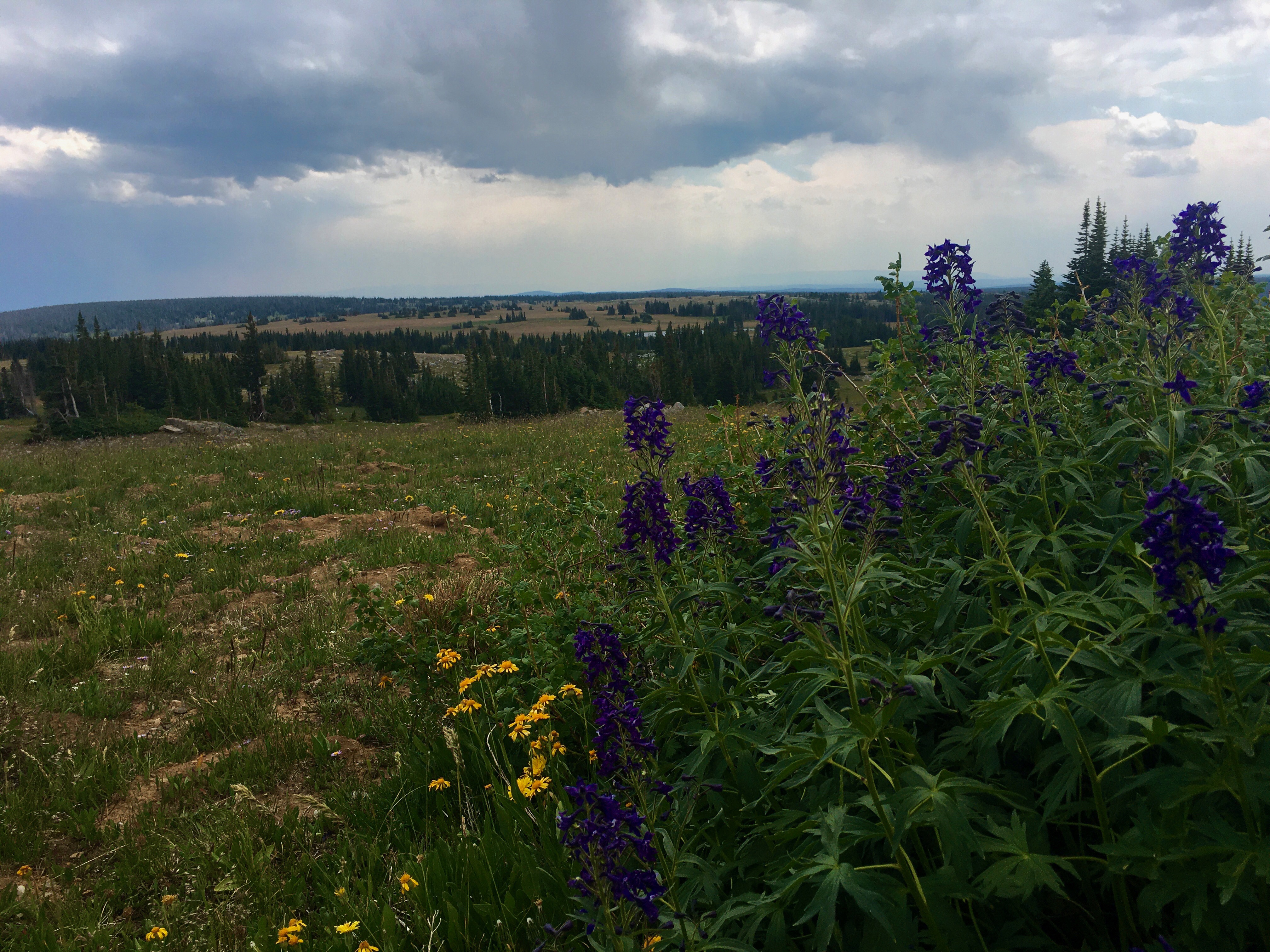  Snowy Range Mountains 