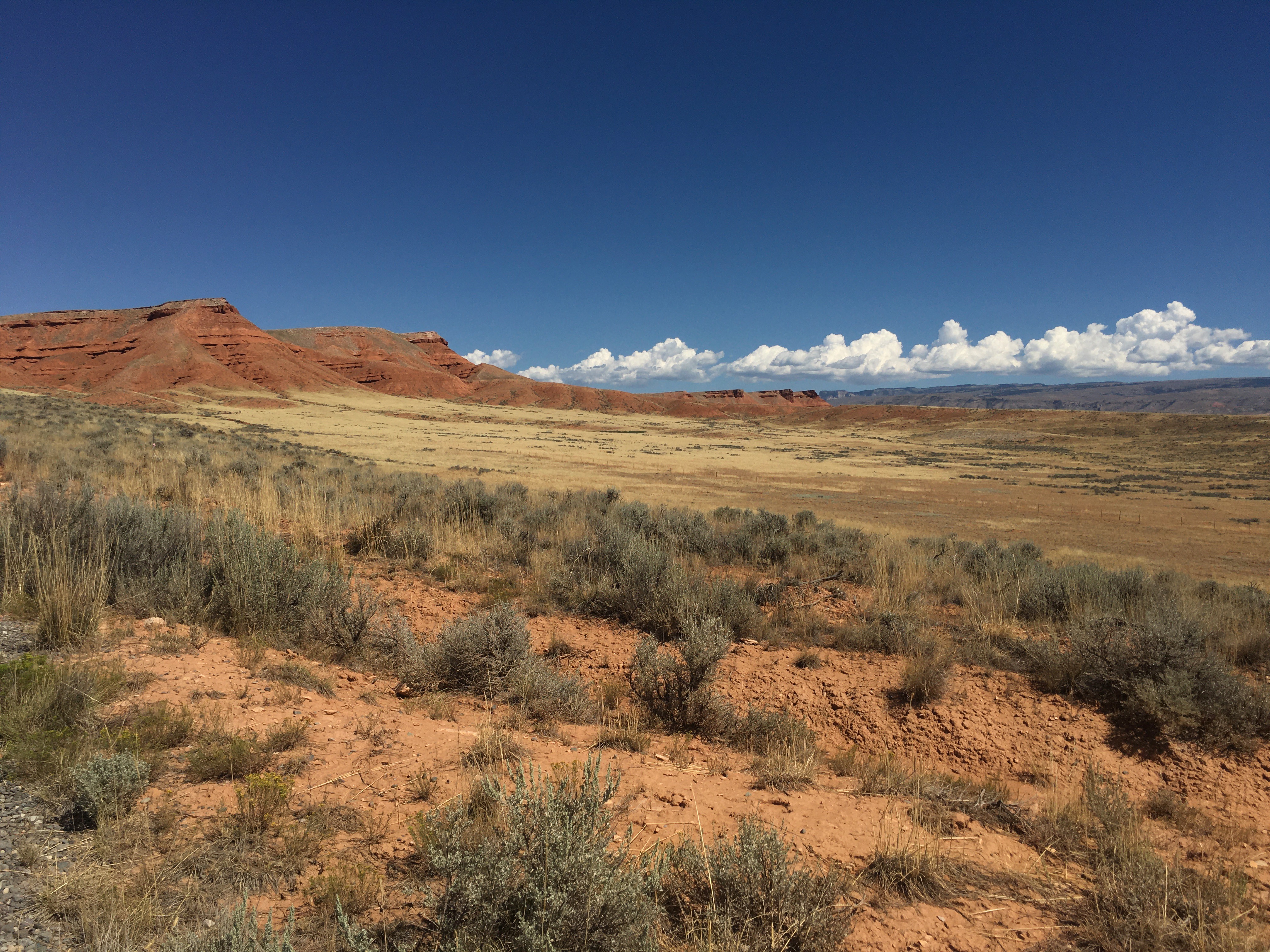  Red Gulch/Alkali Scenic Byway 