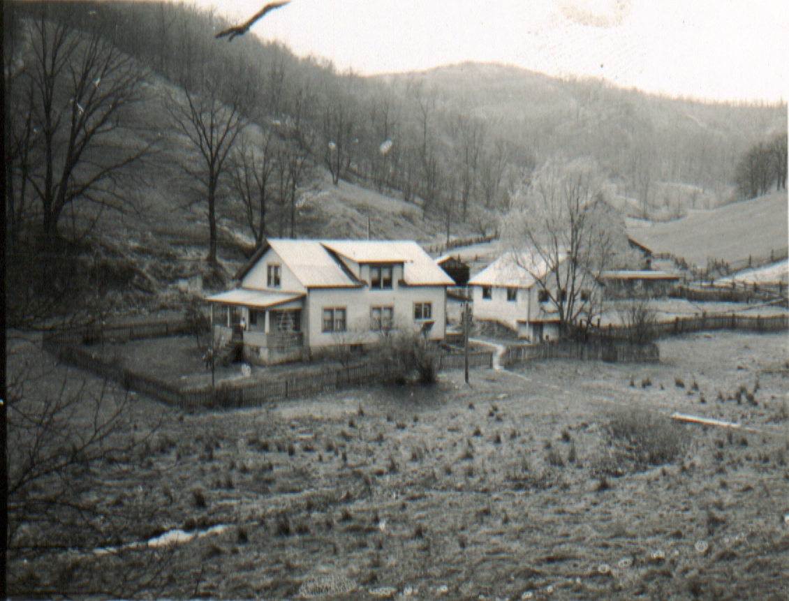  Hallie Harbert Farm 