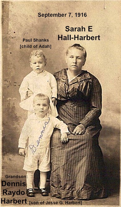  Sarah E Hall (wife of Elmore C Harbert) with grandson Dennis Raydo Harbert (son of Jesse G. Harbert) 