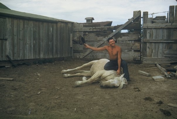  Carl Harbert - horse training 