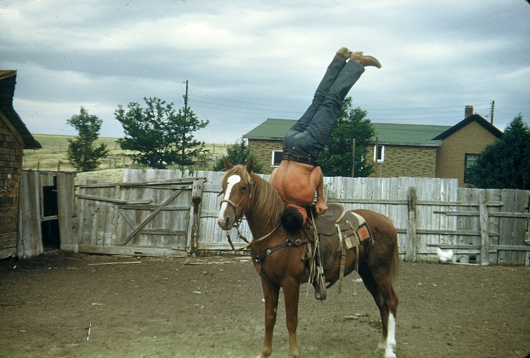  Carl Harbert - Shoulder stand on horse 