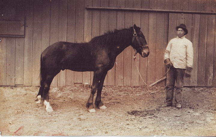  Davy & “Bert” - Davy Harbert brought Bert to Colorado with him from Putnam County, Missouri.  He died in the old barn in Colorado when daughter Fern was about three years old.  This photo is the barn in Missouri on the home place where Davy Harbert grew up.  This photo was taken about 1913-1914 about the same time Dave moved to Colorado to homestead. 