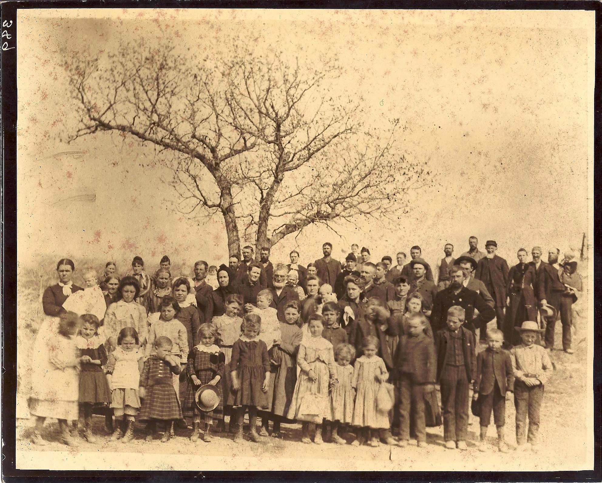  Vivian Blanche Harbert-Shadle (5th from left) 