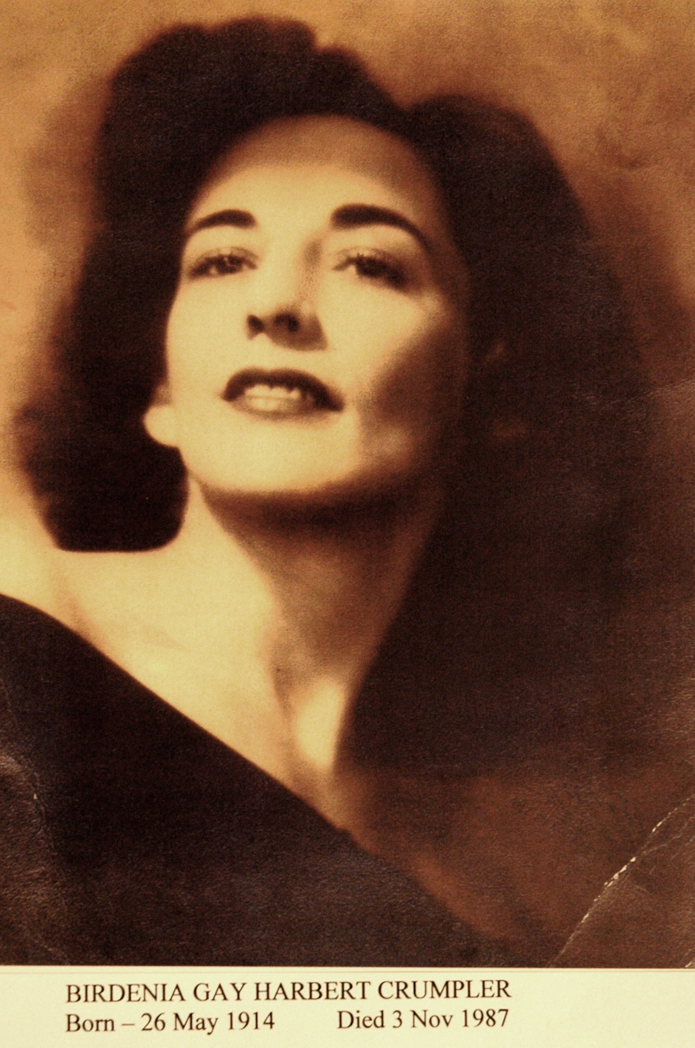  Birdenia Gay Harbert - daughter of Arnold Ray Harbert 